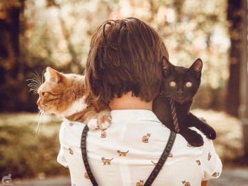 Miłostki Ani i jej kociaków
